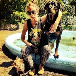 Meet your Posher, Alex